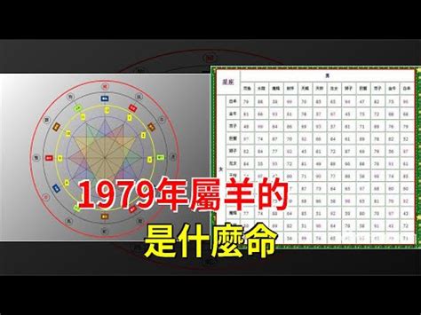 1979屬羊幸運數字|1979年属羊人永久吉利的数字：提升运势的秘诀